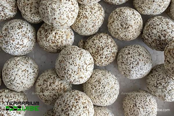 Sứ bi mè 2 Tính chất và quy cách đóng gói sản phẩm sứ bi mè hiện nay