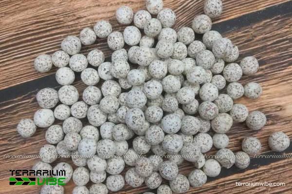 Sứ bi mè 3 Vai trò của sứ bi mè trong tiểu cảnh thủy sinh