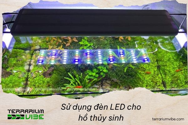 Using LED lights for aquariums the right way to create a perfectly balanced ecosystem 1 The role of LED lights in planted aquariums