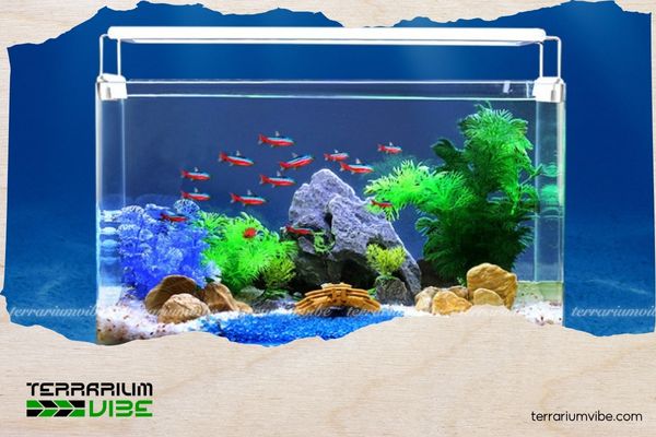 Using LED lights for aquariums the right way to create a perfectly balanced ecosystem 2 How to use LED lights for the best lighting results