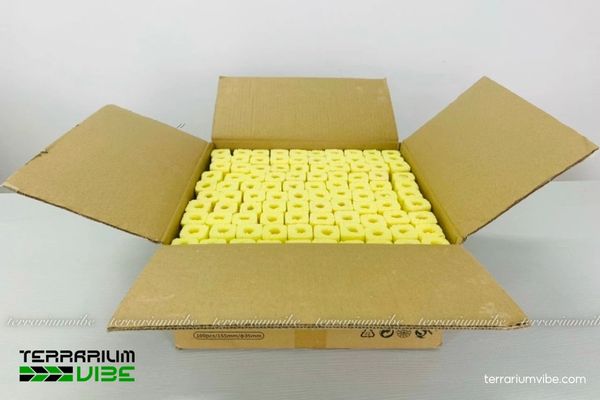 Sứ lọc thanh Hoa Mai 2 Đặc tính nổi bật của sứ thanh Hoa Mai