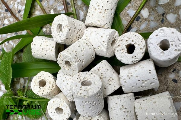 Sứ lọc viên trắng 1 Tìm hiểu về đặc điểm sứ lọc viên trắng