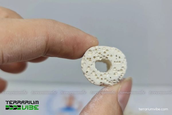 Sứ lọc viên trắng 5 Lưu ý khi xử lý viên sứ trắng cho thủy sinh