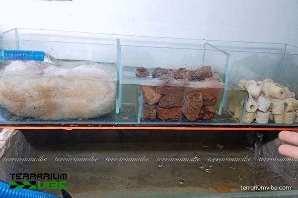 Sứ lọc viên vàng 3 Vai trò của viên sứ vàng trong hệ thống lọc thủy sinh