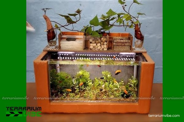 Sứ lọc viên vàng 4 Hướng dẫn bố trí sứ lọc vàng trong tiểu cảnh