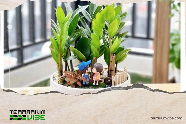 Cây Kim Tiền thủy sinh 4 Cách trồng cây Kim Tiền thủy sinh và chăm sóc hiệu quả