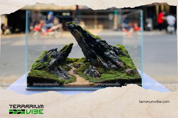 Đá kẹp kem 4 Các sản phẩm thường sử dụng chung với đá kẹp kem thủy sinh