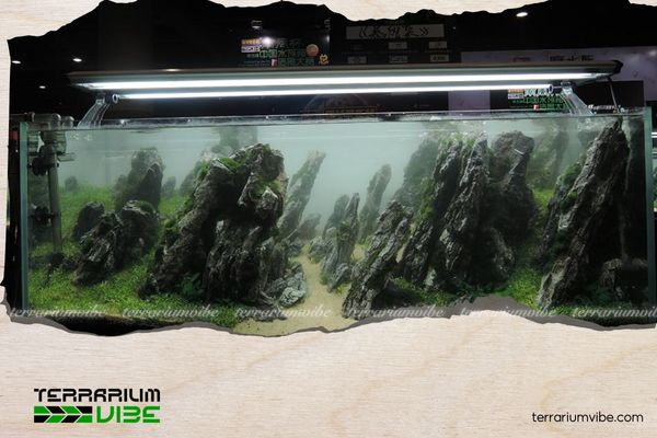 Đá Tuyết Sơn 2 Tác dụng của đá Tuyết Sơn trong terrarium và thủy sinh