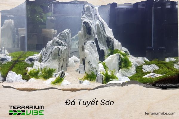 da-tuyet-son Đá Tuyết Sơn