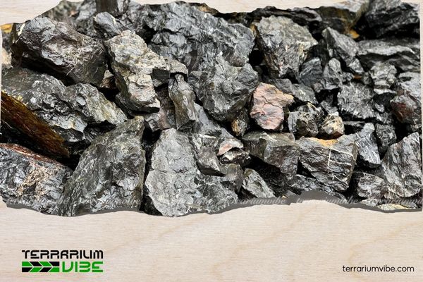 Đá vỉa 3 Công dụng của đá vỉa trong làm terrarium, thủy sinh