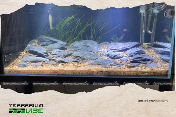 Đá vỉa 4 Các sản phẩm thường sử dụng chung với đá vỉa thủy sinh