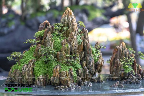 Đá non bộ 1 Khám phá đặc điểm đá non bộ trong tiểu cảnh