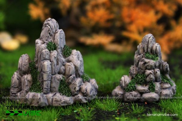 Đá non bộ 3 Chức năng của đá non bộ trong làm tiểu cảnh terrarium, thủy sinh