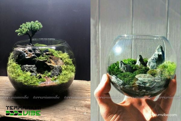 Đá non bộ 4 Gợi ý một số sản phẩm kết hợp đá non bộ trong thiết kế tiểu cảnh