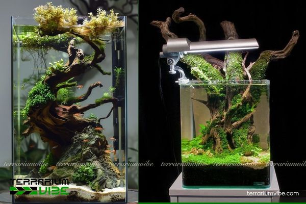 Lũa Nhất Trụ 4 Lũa kết hợp đá và nền giúp bố cục vững chắc, tự nhiên như rừng sâu