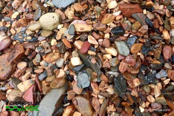 Sạn suối 1 Giới thiệu tổng quan về đặc điểm của sạn suối