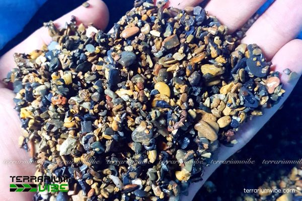 Sạn suối 2 Sạn suối lựa chọn tự nhiên an toàn cho hồ thủy sinh