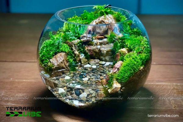 Sạn suối 4 Tạo bố cục thủy sinh đẹp mắt với sạn suối và vật liệu đi kèm