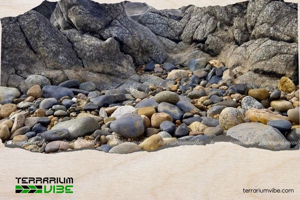 Sỏi đá 1 Nguồn gốc hình thành của sỏi đá