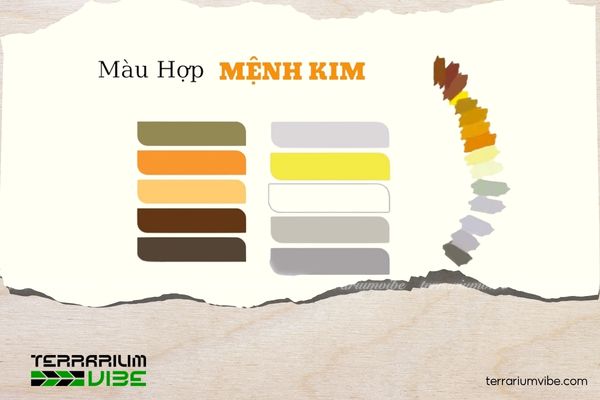 Mệnh Kim hợp cây gì? Gợi ý cây phong thủy rước tài lộc, bình an 1 Các màu sắc hợp mệnh Kim gồm trắng, xám, vàng, nâu