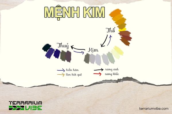 Mệnh Kim nên trồng cây gì trước nhà để hút tài lộc và may mắn? 1 Bảng màu hợp mệnh Kim