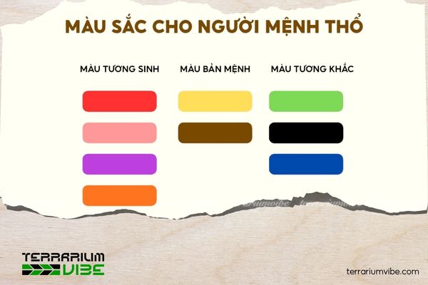 Mệnh Thổ hợp cây gì? Gợi ý cây phong thủy mang may mắn và tài lộc 1 Màu sắc hợp với mệnh Thổ