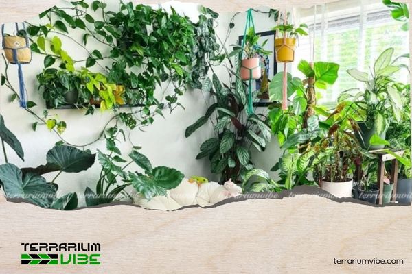 Mệnh Thổ hợp cây gì? Gợi ý cây phong thủy mang may mắn và tài lộc 6 Mệnh Thổ không nên đặt quá nhiều chậu cây trong không gian nhỏ