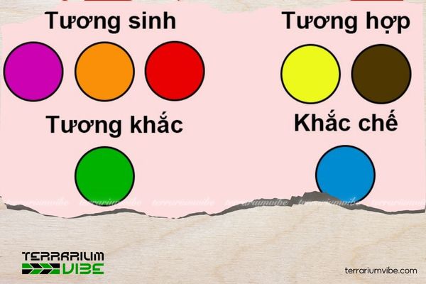 Mệnh Thổ trồng cây gì trước nhà để thu hút tài lộc, bình an? 2 Mệnh Thổ hợp trồng cây màu đỏ, cam, hồng, tím thuộc hành Hỏa