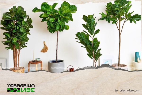 Mệnh Mộc hợp cây gì? 10+ Loại cây giúp gia tăng vượng khí 2 Mệnh Mộc nên ưu tiên trồng cây có màu xanh lá cây là màu của bản mệnh