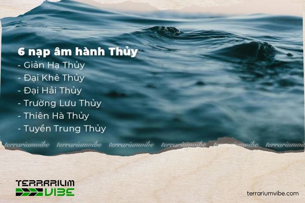 Mệnh Thủy hợp cây gì? Top cây phong thủy mang lại may mắn, tài lộc 1 Các nạp âm thuộc mệnh Thủy